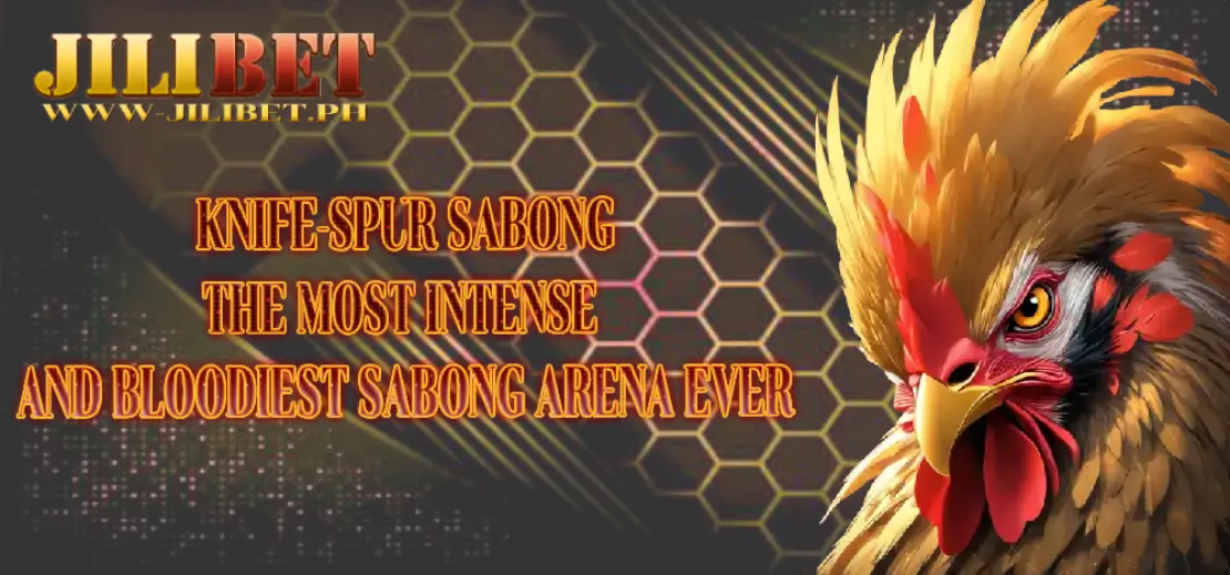 Jilibet Knife-Spur Sabong – The Most Intense and Bloodiest Sabong Arena Ever